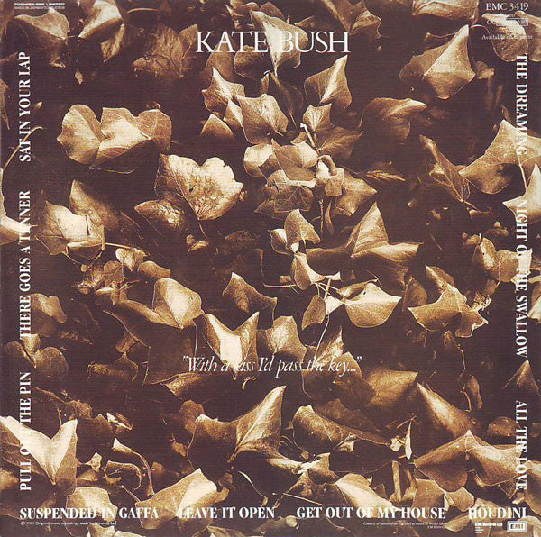 kate-bush-–-the-dreaming