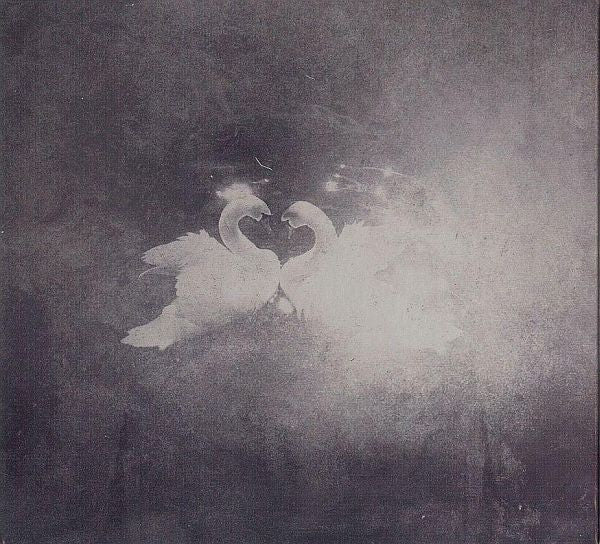silent-waters