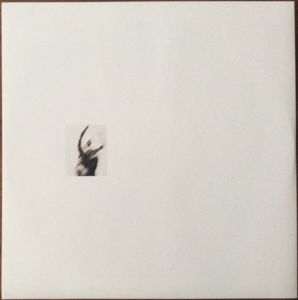collections-from-the-whiteout