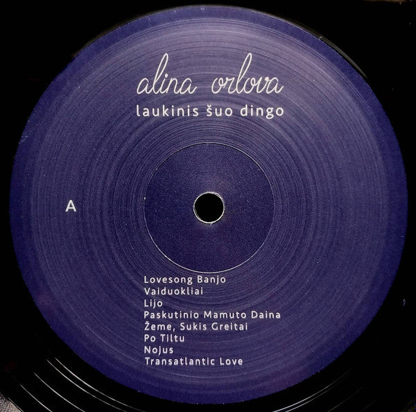 laukinis-šuo-dingo