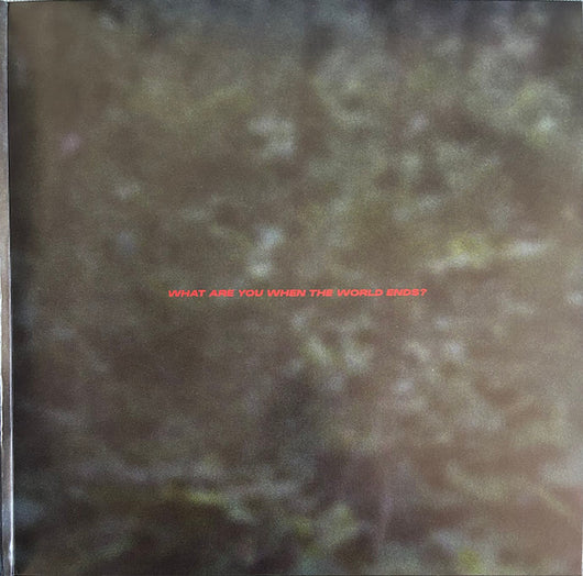 bando-stone-and-the-new-world