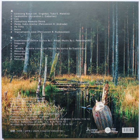 laukinis-šuo-dingo