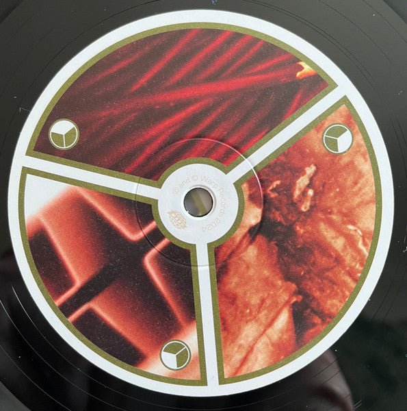 selected-ambient-works-volume-ii