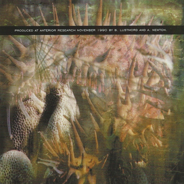 lustmord-–-the-monstrous-soul