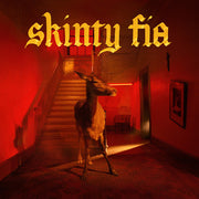 fontaines-d.c.-–-skinty-fia