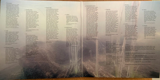 povandeninės-kronikos