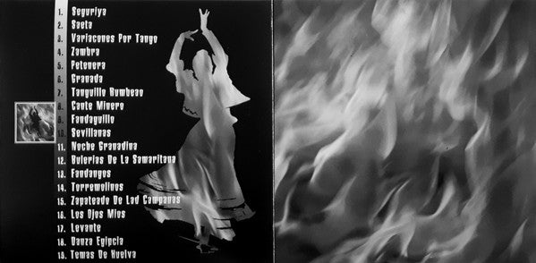 gypsy-passion-(the-art-of-flamenco)