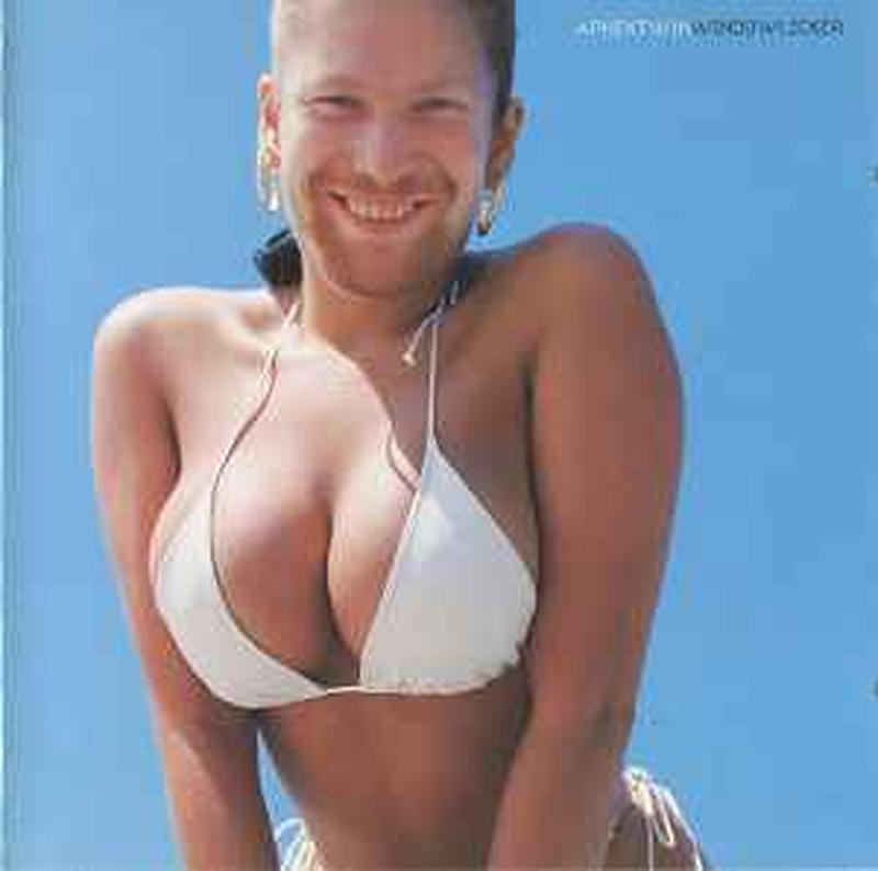 windowlicker