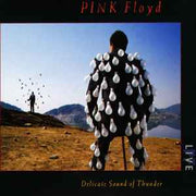 delicate-sound-of-thunder