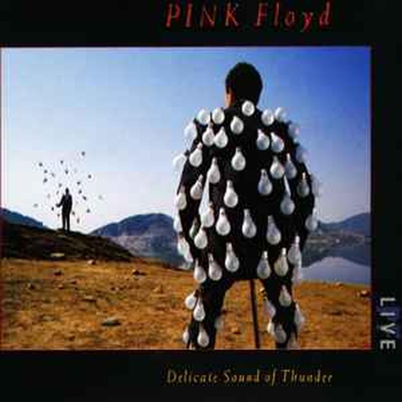 delicate-sound-of-thunder