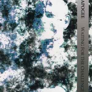 waiting-for-the-challenge