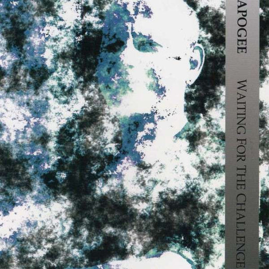 waiting-for-the-challenge