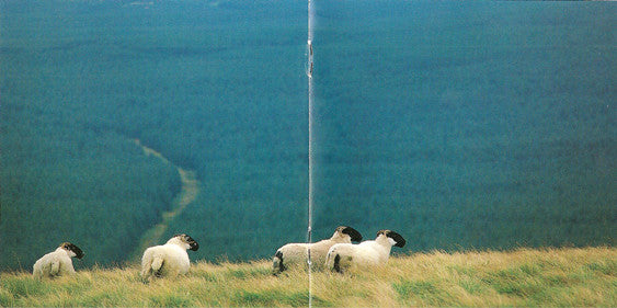 the-northumberland-collection
