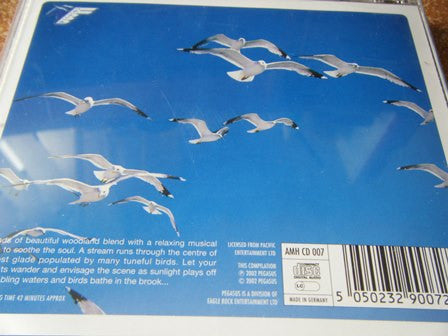 ambient-heaven---avian-chorus