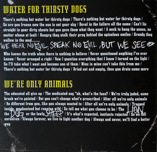 water-for-thirsty-dogs