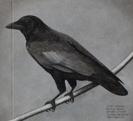 old-crows-/-young-cardinals