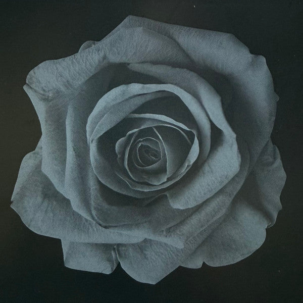 conan-gray-–-superache