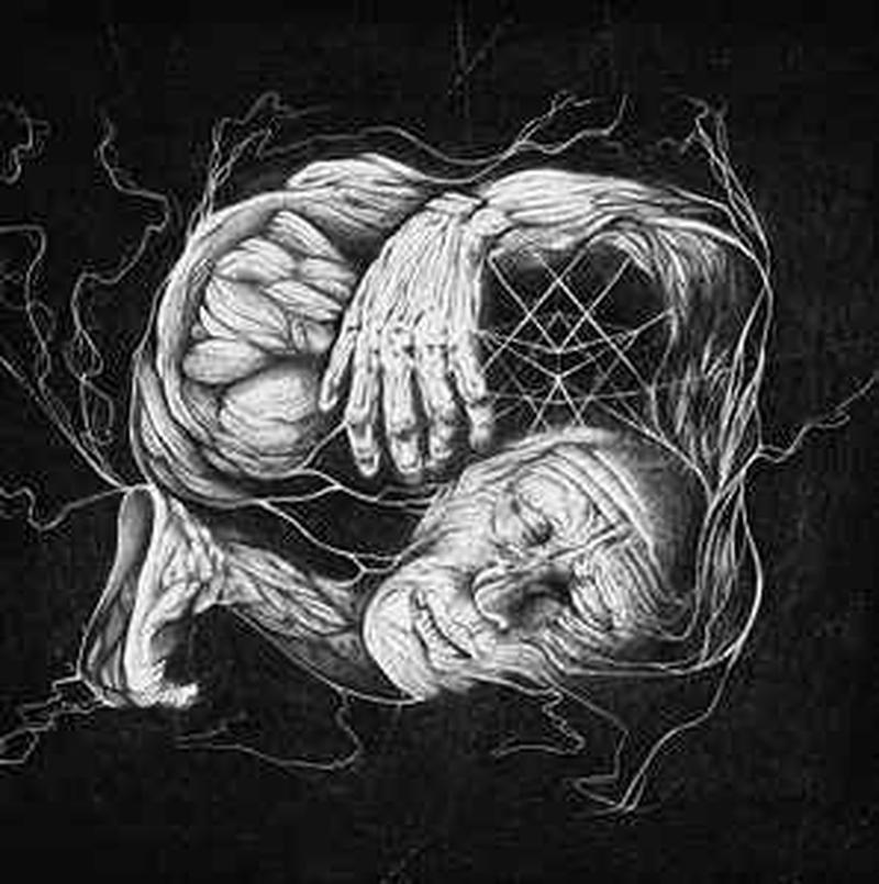 vorant-gnosis