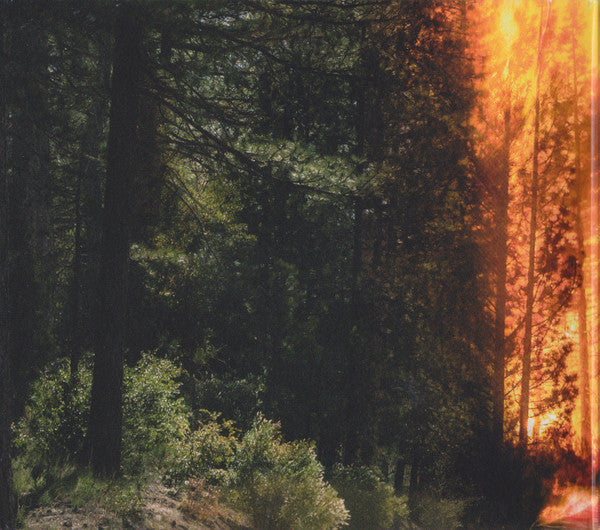 ladytron