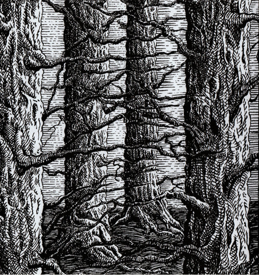 live-at-montreux-jazz-festival