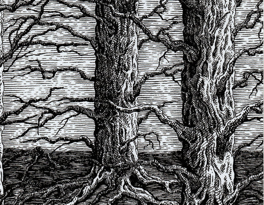 live-at-montreux-jazz-festival