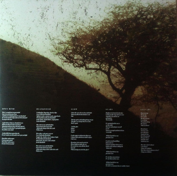 blackfield