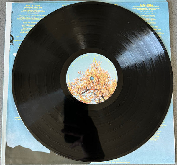 vance-joy-–-in-our-own-sweet-time