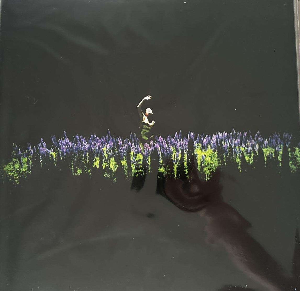 Vinyl (LP) Jessica Shy – Liepa