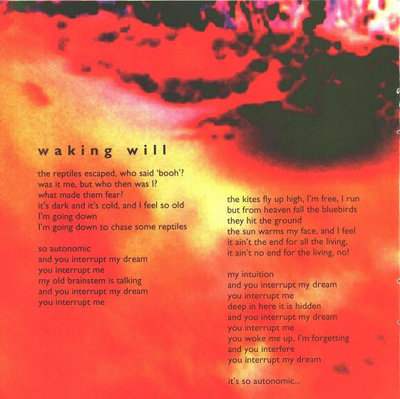 bel-canto-–-shimmering,-warm-&-bright