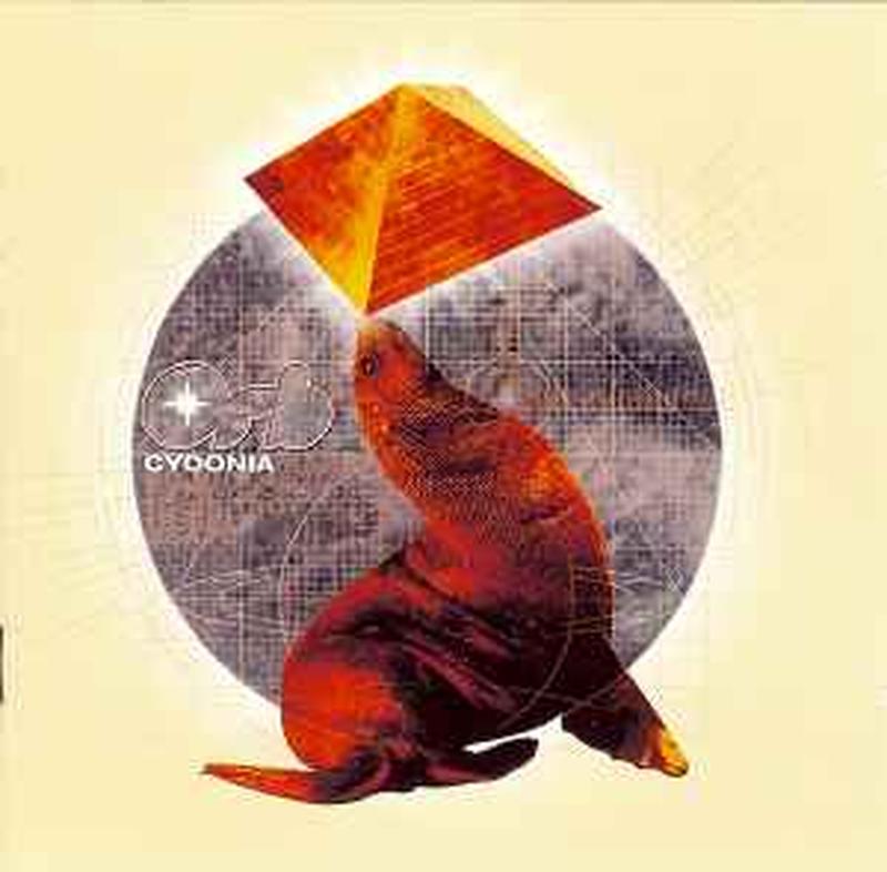 cydonia