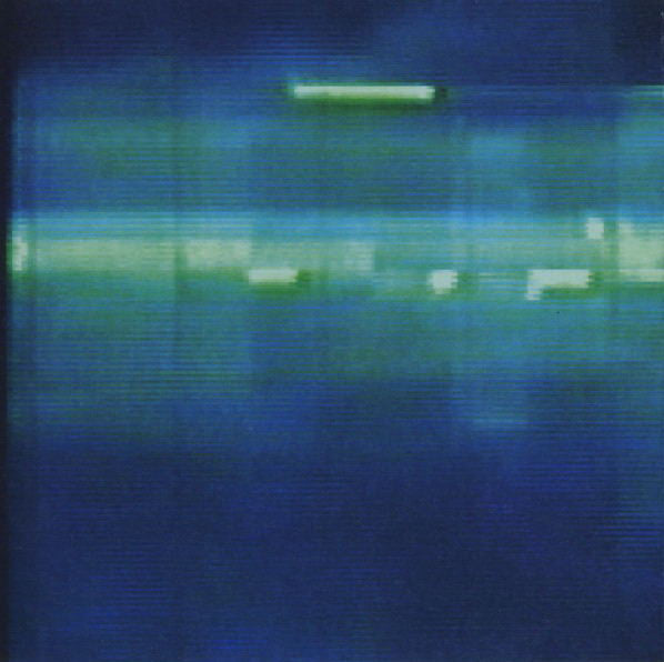 selection-sixteen