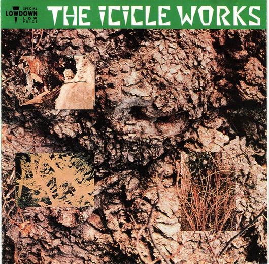 the-icicle-works