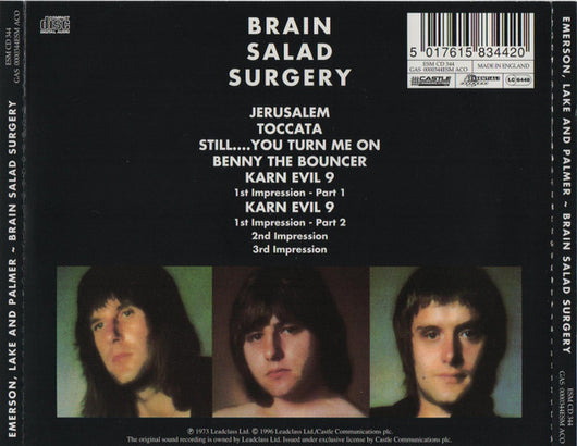 brain-salad-surgery