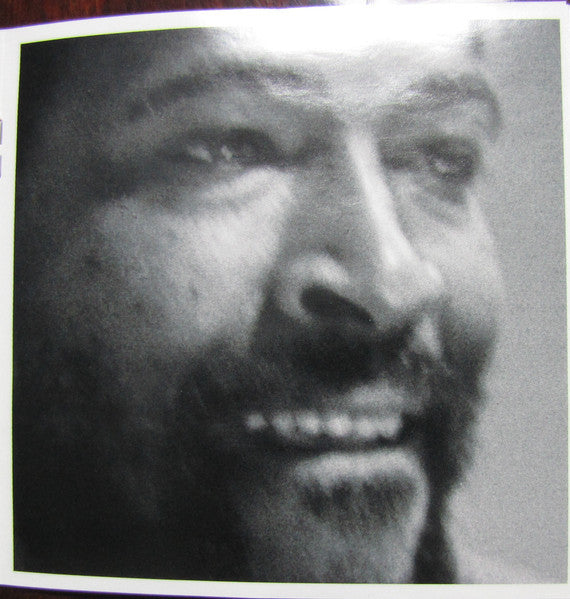 inner-city-blues-(the-music-of-marvin-gaye)