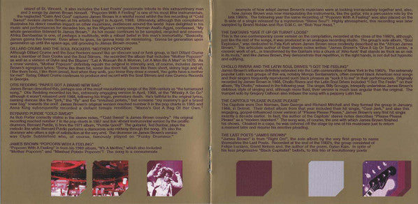 doing-the-james-brown---in-the-footsteps-of-the-godfather-of-funk