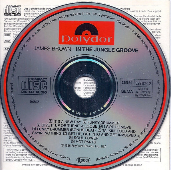 in-the-jungle-groove