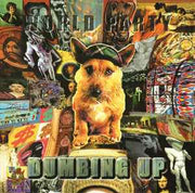 dumbing-up
