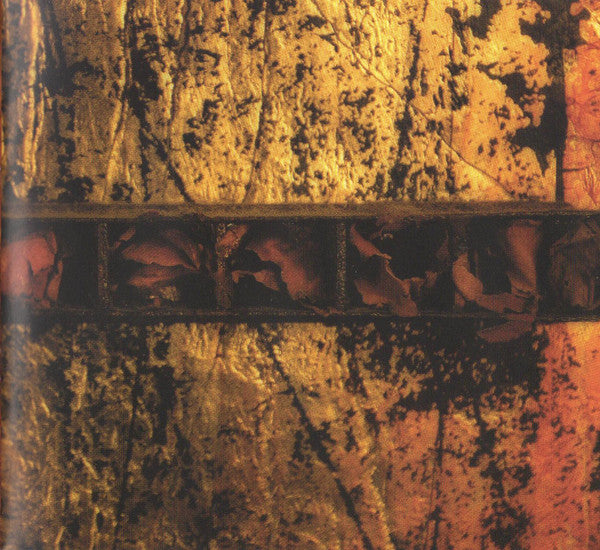 the-downward-spiral