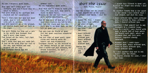 field-of-crows