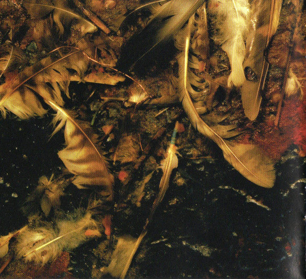 the-downward-spiral
