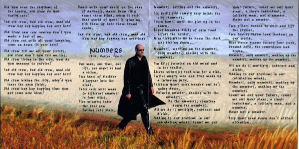 field-of-crows