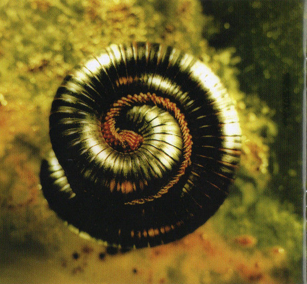 the-downward-spiral