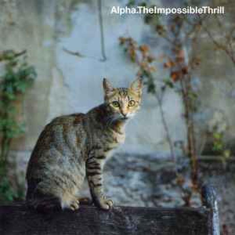 the-impossible-thrill