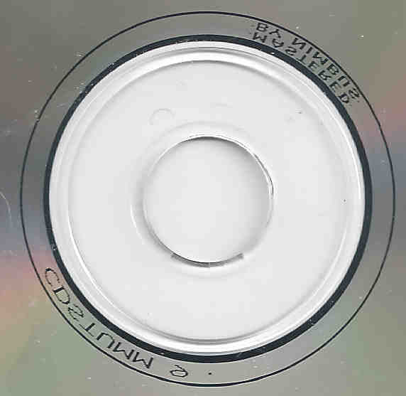 a-broken-frame