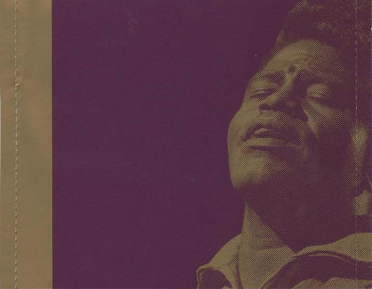 doing-the-james-brown---in-the-footsteps-of-the-godfather-of-funk