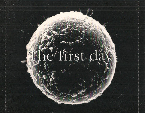 the-birth