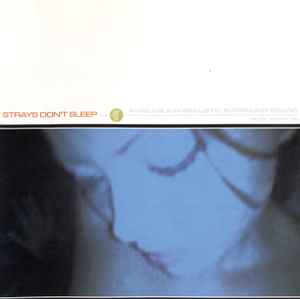 strays-dont-sleep