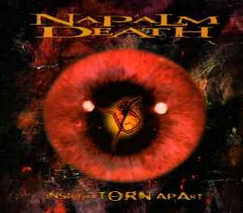 inside-the-torn-apart