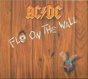 fly-on-the-wall