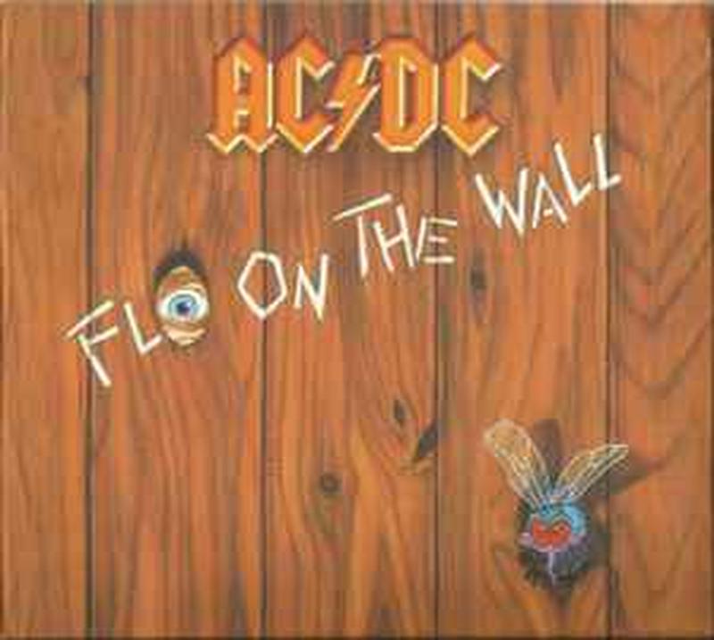 fly-on-the-wall